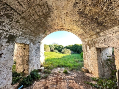 immagine annuncio 3 di 9