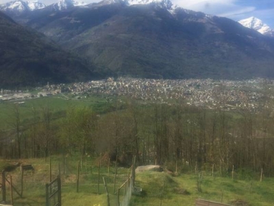 immagine annuncio 2 di 9