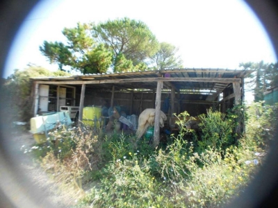 immagine annuncio 5 di 9