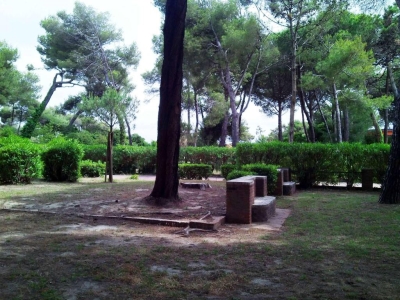 immagine annuncio 8 di 9