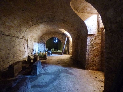 immagine annuncio 6 di 9