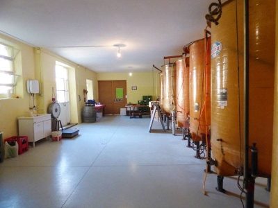 immagine annuncio 7 di 9