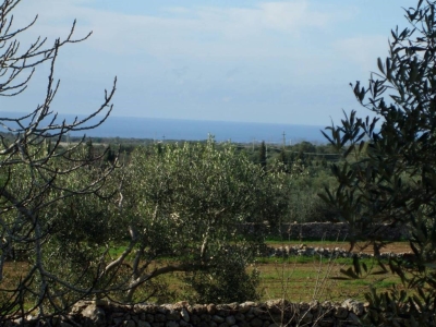immagine annuncio 4 di 9