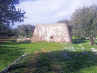 immagine annuncio 6 di 9