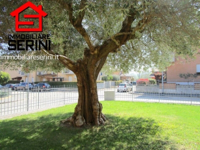 immagine annuncio 3 di 9