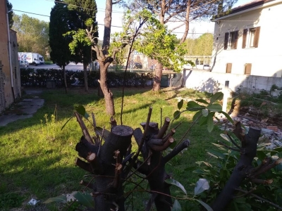 immagine annuncio 3 di 9