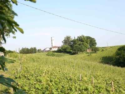 immagine annuncio 5 di 9