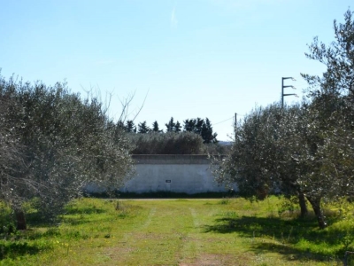 immagine annuncio 1 di 9