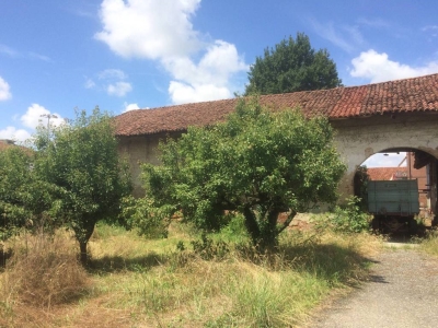 immagine annuncio 1 di 9