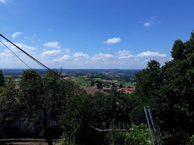 immagine annuncio 5 di 9