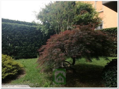 immagine annuncio 3 di 9