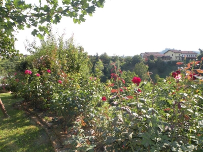 immagine annuncio 3 di 9
