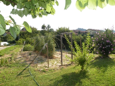 immagine annuncio 8 di 9