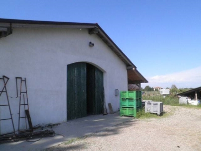 immagine annuncio 2 di 7