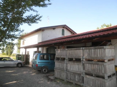 immagine annuncio 4 di 7