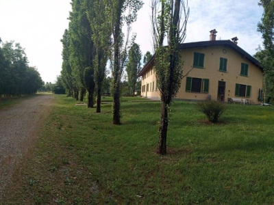 immagine annuncio 2 di 7
