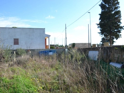 immagine annuncio 3 di 8