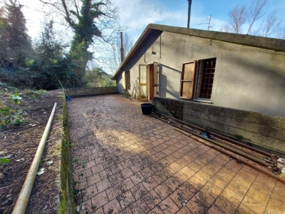 immagine annuncio 5 di 9