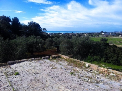 immagine annuncio 4 di 9