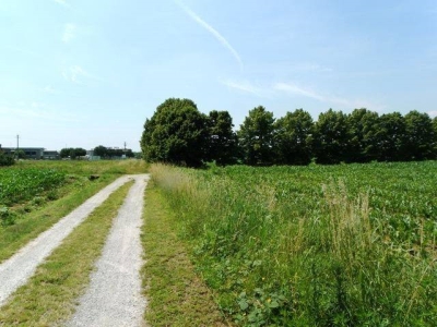 immagine annuncio 4 di 9