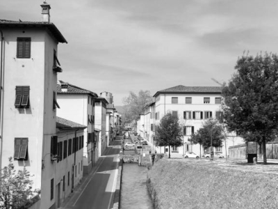 immagine annuncio 4 di 8