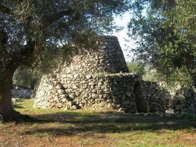 immagine annuncio 1 di 9