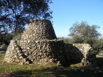 immagine annuncio 3 di 9