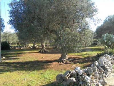 immagine annuncio 4 di 9