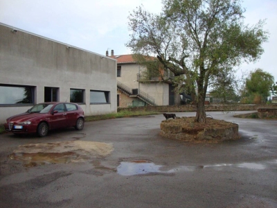 immagine annuncio 1 di 9