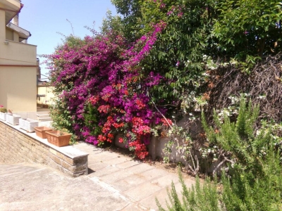 immagine annuncio 3 di 9