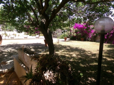 immagine annuncio 8 di 9