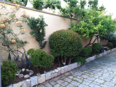 immagine annuncio 5 di 9