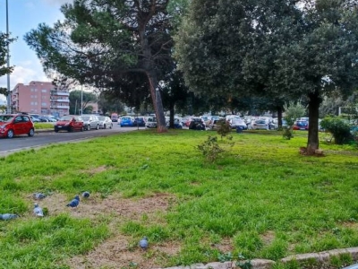 immagine annuncio 4 di 9