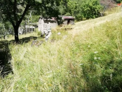 immagine annuncio 8 di 9