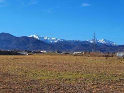 immagine annuncio 6 di 8