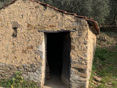 immagine annuncio 4 di 9