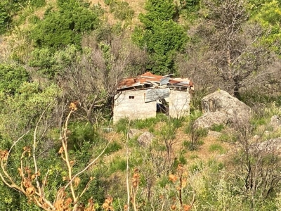immagine annuncio 5 di 9