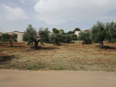 immagine annuncio 1 di 3