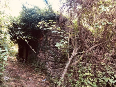 immagine annuncio 1 di 9