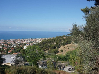 immagine annuncio 6 di 9