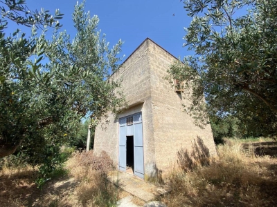 immagine annuncio 1 di 9