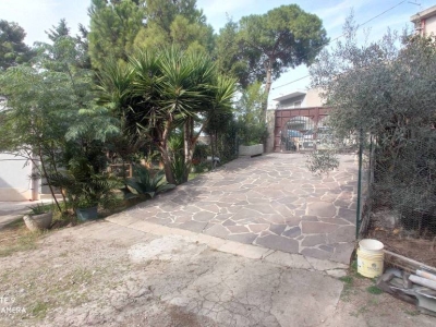 immagine annuncio 5 di 9