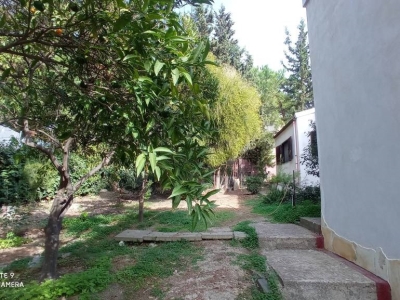 immagine annuncio 6 di 9