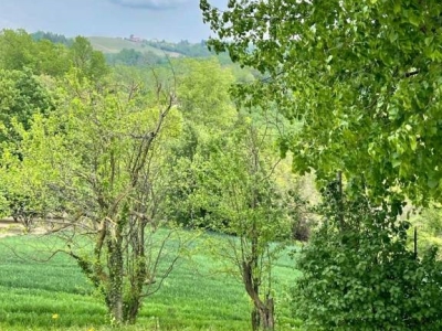 immagine annuncio 6 di 9