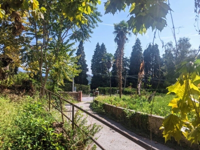 immagine annuncio 6 di 9