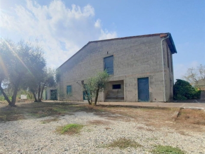 immagine annuncio 3 di 9