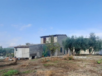 immagine annuncio 5 di 9