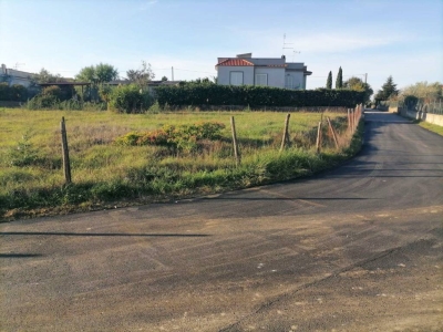 immagine annuncio 1 di 2