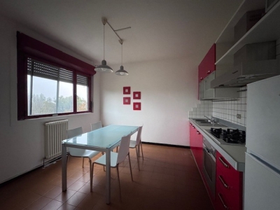 immagine annuncio 4 di 9