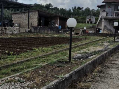 immagine annuncio 4 di 9